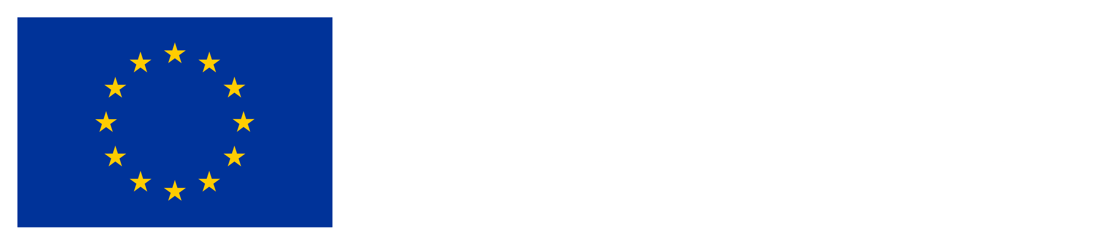 Co-funded by the European Union